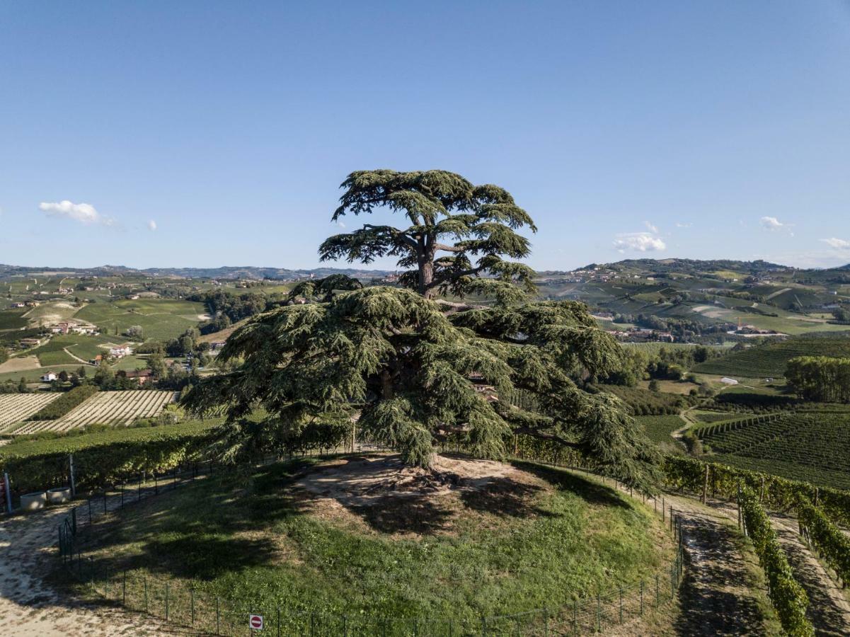 Agrisuite Il Cedro La Morra Exterior foto